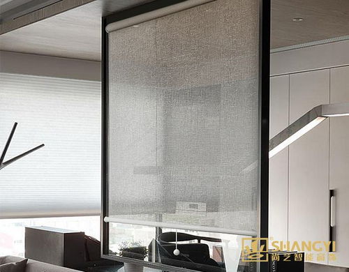 南京尚藝智能窗飾 卷簾